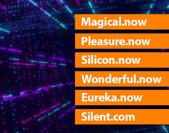 Now Domain Names 01